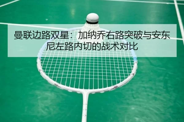 man-lian-bian-lu-shuang-xing-jia-na-qiao-you-lu-tu-po-yu-an-dong-ni-zuo-lu-nei-qie-de-zhan-shu-dui-bi-3-255.jpg